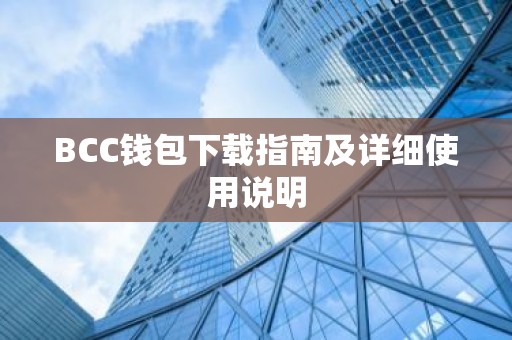 BCC钱包下载指南及详细使用说明