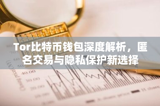 Tor比特币钱包深度解析，匿名交易与隐私保护新选择