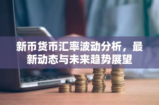 新币货币汇率波动分析，最新动态与未来趋势展望