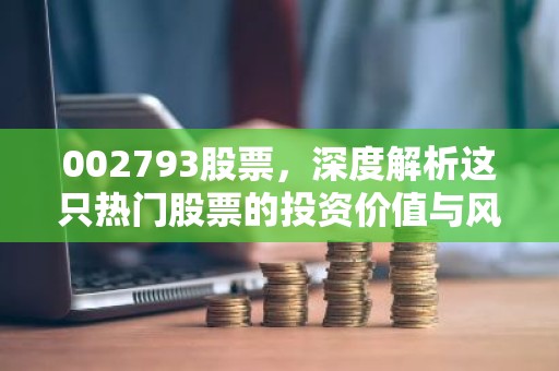 002793股票，深度解析这只热门股票的投资价值与风险