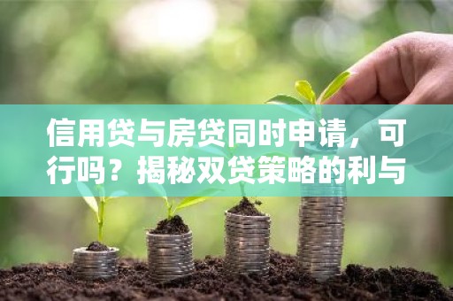 信用贷与房贷同时申请，可行吗？揭秘双贷策略的利与弊