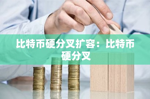 比特币硬分叉扩容：比特币 硬分叉