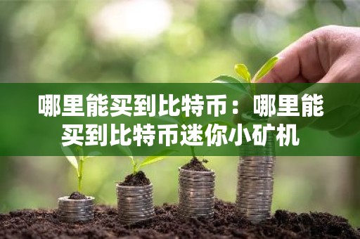 哪里能买到比特币：哪里能买到比特币迷你小矿机