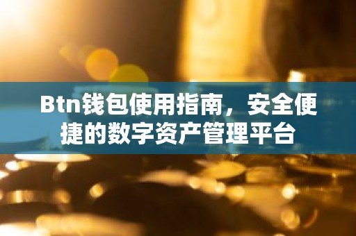 Btn钱包使用指南，安全便捷的数字资产管理平台
