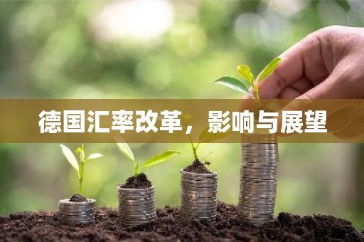 德国汇率改革，影响与展望