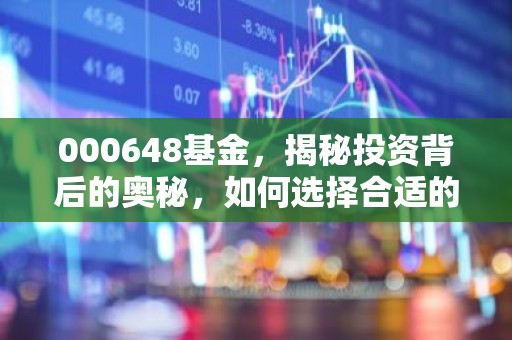 000648基金，揭秘投资背后的奥秘，如何选择合适的基金？