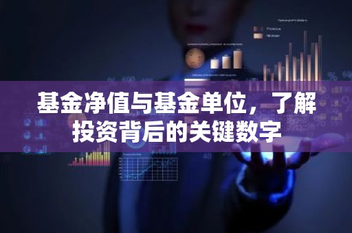 基金净值与基金单位，了解投资背后的关键数字