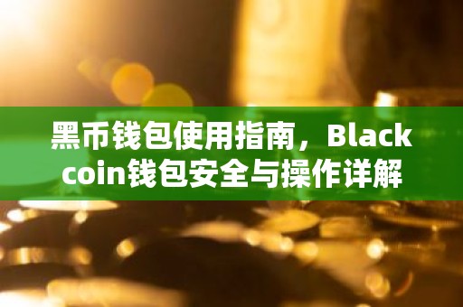 黑币钱包使用指南，Blackcoin钱包安全与操作详解