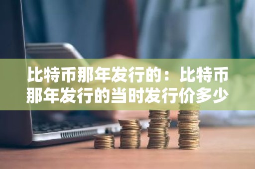 比特币那年发行的：比特币那年发行的当时发行价多少钱