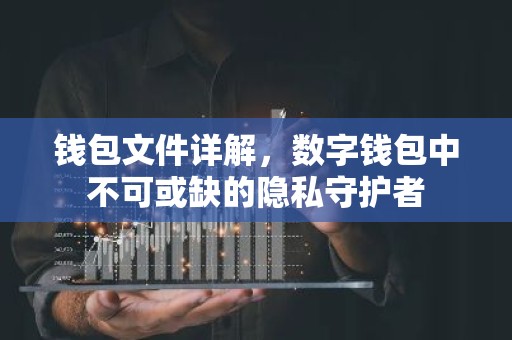钱包文件详解，数字钱包中不可或缺的隐私守护者