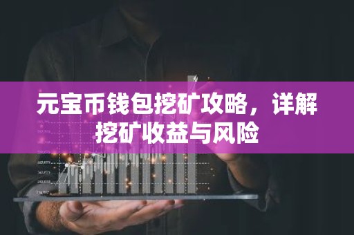 元宝币钱包挖矿攻略，详解挖矿收益与风险