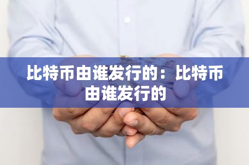 比特币由谁发行的：比特币由谁发行的