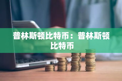 普林斯顿比特币：普林斯顿 比特币