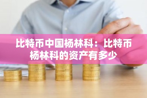 比特币中国杨林科：比特币杨林科的资产有多少