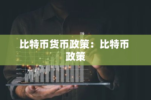 比特币货币政策：比特币 政策