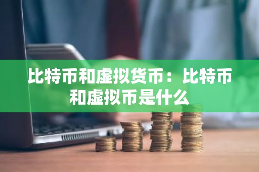 比特币和虚拟货币：比特币和虚拟币是什么