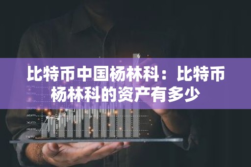 比特币中国杨林科：比特币杨林科的资产有多少