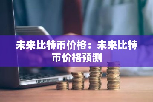 未来比特币价格：未来比特币价格预测