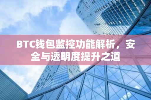 BTC钱包监控功能解析，安全与透明度提升之道