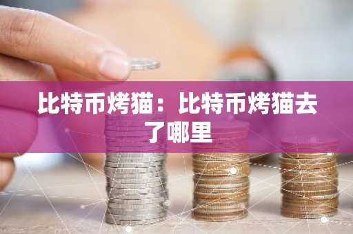 比特币烤猫：比特币烤猫去了哪里