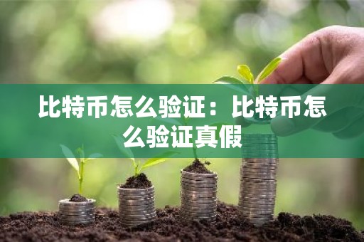 比特币怎么验证：比特币怎么验证真假