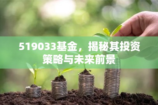 519033基金，揭秘其投资策略与未来前景
