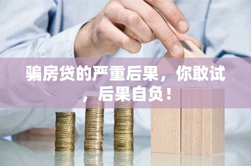 骗房贷的严重后果，你敢试，后果自负！