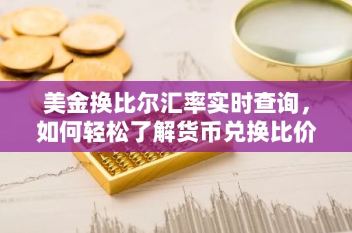 美金换比尔汇率实时查询，如何轻松了解货币兑换比价？