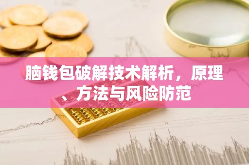 脑钱包破解技术解析，原理、方法与风险防范