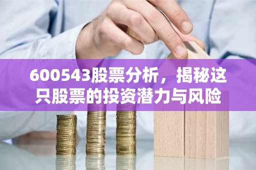 600543股票分析，揭秘这只股票的投资潜力与风险