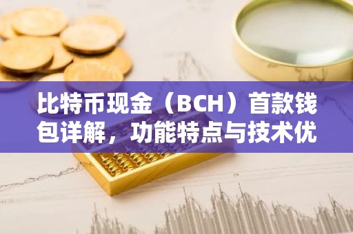 比特币现金（BCH）首款钱包详解，功能特点与技术优势