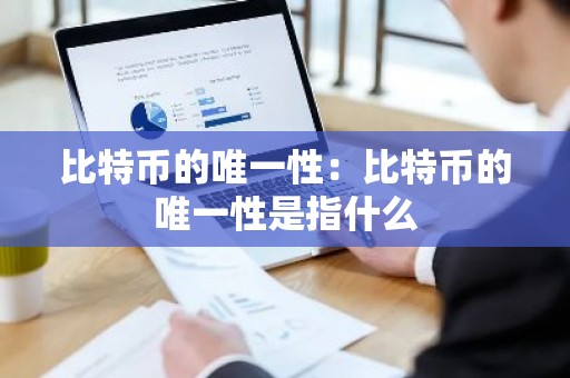 比特币的唯一性：比特币的唯一性是指什么