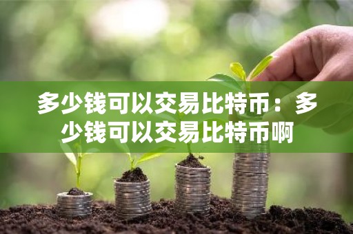 多少钱可以交易比特币：多少钱可以交易比特币啊