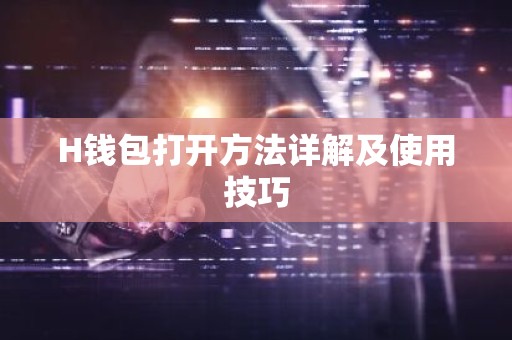 H钱包打开方法详解及使用技巧