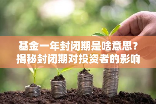 基金一年封闭期是啥意思？揭秘封闭期对投资者的影响