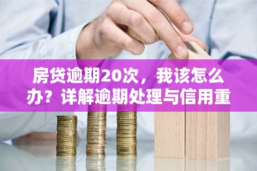 房贷逾期20次，我该怎么办？详解逾期处理与信用重建之道