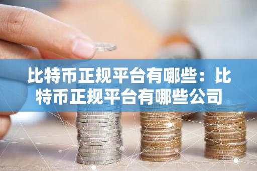 比特币正规平台有哪些：比特币正规平台有哪些公司