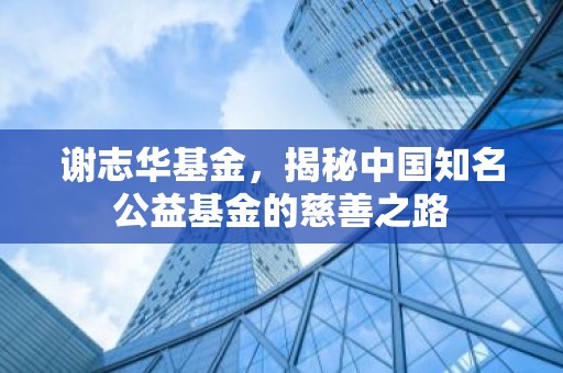 谢志华基金，揭秘中国知名公益基金的慈善之路
