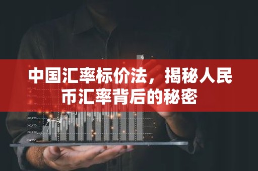 中国汇率标价法，揭秘人民币汇率背后的秘密