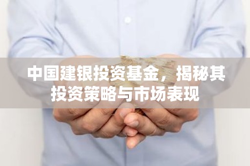 中国建银投资基金，揭秘其投资策略与市场表现