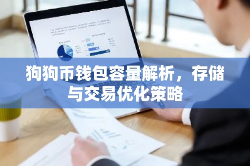 狗狗币钱包容量解析，存储与交易优化策略