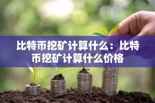 比特币挖矿计算什么：比特币挖矿计算什么价格