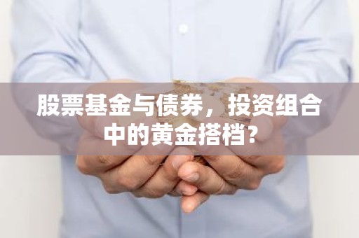 股票基金与债券，投资组合中的黄金搭档？