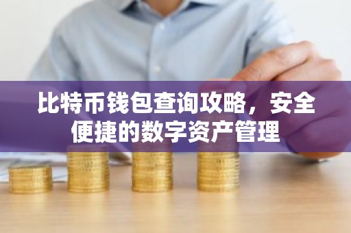 比特币钱包查询攻略，安全便捷的数字资产管理