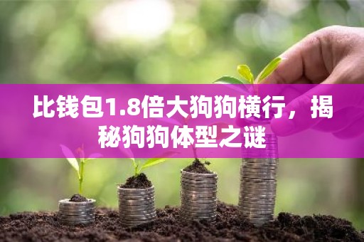 比钱包1.8倍大狗狗横行，揭秘狗狗体型之谜