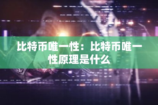 比特币唯一性：比特币唯一性原理是什么