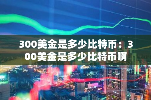 300美金是多少比特币：300美金是多少比特币啊
