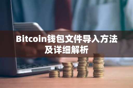 Bitcoin钱包文件导入方法及详细解析