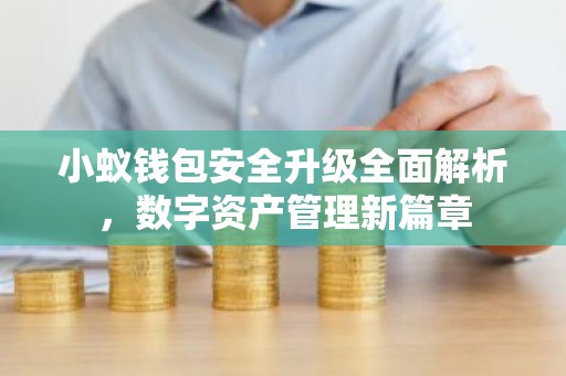 小蚁钱包安全升级全面解析，数字资产管理新篇章