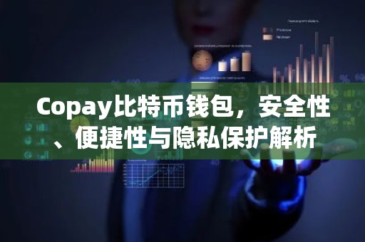 Copay比特币钱包，安全性、便捷性与隐私保护解析